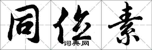 胡問遂同位素行書怎么寫