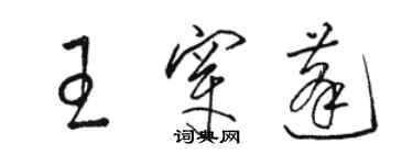 駱恆光王穿蓬草書個性簽名怎么寫