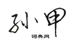 駱恆光孫甲行書個性簽名怎么寫