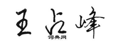 駱恆光王占峰行書個性簽名怎么寫