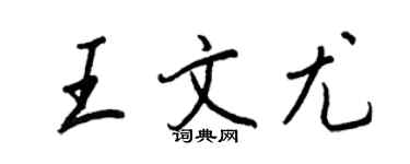 王正良王文尤行書個性簽名怎么寫