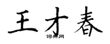 丁謙王才春楷書個性簽名怎么寫