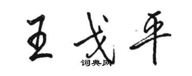 駱恆光王戈平行書個性簽名怎么寫