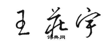 駱恆光王莊宇草書個性簽名怎么寫