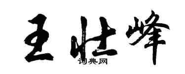 胡問遂王壯峰行書個性簽名怎么寫