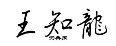 王正良王知龍行書個性簽名怎么寫