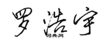 駱恆光羅浩宇行書個性簽名怎么寫
