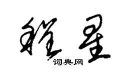 朱錫榮程星草書個性簽名怎么寫