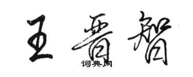 駱恆光王晉智行書個性簽名怎么寫