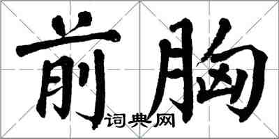 翁闓運前胸楷書怎么寫