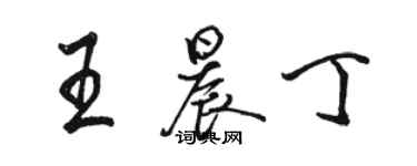 駱恆光王晨丁行書個性簽名怎么寫