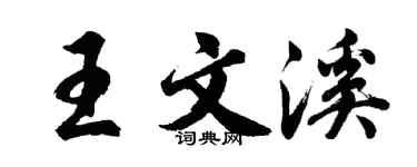 胡問遂王文溪行書個性簽名怎么寫