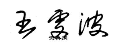 朱錫榮王雯波草書個性簽名怎么寫