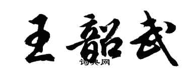 胡問遂王韶武行書個性簽名怎么寫