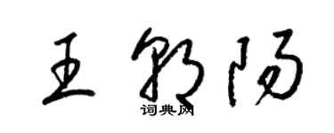 梁錦英王朝陽草書個性簽名怎么寫