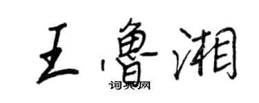 王正良王魯湘行書個性簽名怎么寫