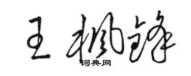 駱恆光王楓鋒草書個性簽名怎么寫