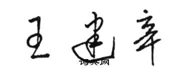 駱恆光王建辛草書個性簽名怎么寫