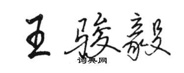 駱恆光王駿毅行書個性簽名怎么寫