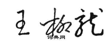 駱恆光王柳龍草書個性簽名怎么寫