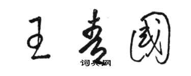 駱恆光王青國草書個性簽名怎么寫