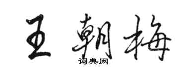 駱恆光王朝梅行書個性簽名怎么寫