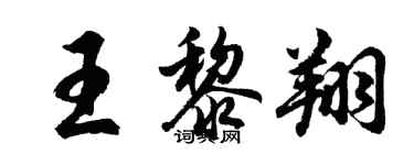 胡問遂王黎翔行書個性簽名怎么寫
