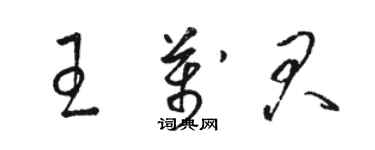 駱恆光王萬君草書個性簽名怎么寫