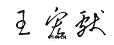 駱恆光王宏獻草書個性簽名怎么寫