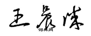 曾慶福王晨誠草書個性簽名怎么寫