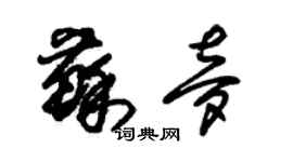 朱錫榮蘇夢草書個性簽名怎么寫