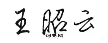駱恆光王昭雲行書個性簽名怎么寫