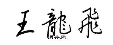 王正良王龍飛行書個性簽名怎么寫