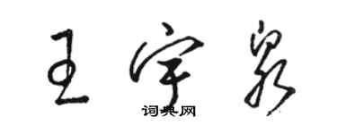 駱恆光王宇泉草書個性簽名怎么寫