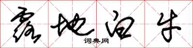 朱錫榮露地白牛草書怎么寫