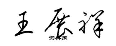 梁錦英王展祥草書個性簽名怎么寫