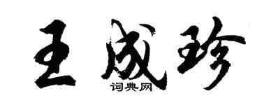 胡問遂王成珍行書個性簽名怎么寫