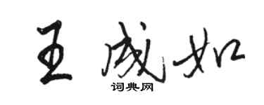 駱恆光王成如行書個性簽名怎么寫