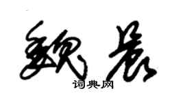 朱錫榮魏晨草書個性簽名怎么寫