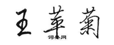 駱恆光王苹菊行書個性簽名怎么寫