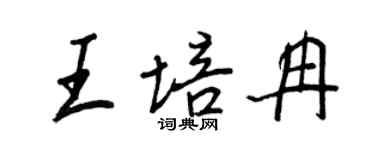 王正良王培冉行書個性簽名怎么寫