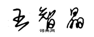 朱錫榮王智晶草書個性簽名怎么寫