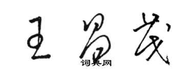 駱恆光王昌茂草書個性簽名怎么寫