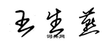 朱錫榮王生燕草書個性簽名怎么寫