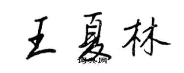 王正良王夏林行書個性簽名怎么寫