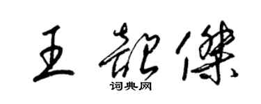 梁錦英王韶傑草書個性簽名怎么寫