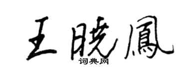 王正良王曉鳳行書個性簽名怎么寫