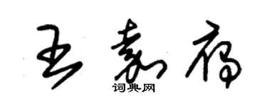 朱錫榮王嘉雁草書個性簽名怎么寫