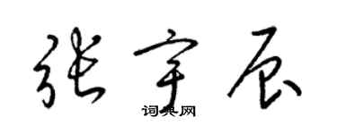 梁錦英張宇辰草書個性簽名怎么寫