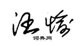 朱錫榮汪愉草書個性簽名怎么寫